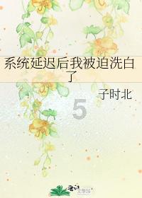 华升检测公司有人了解吗，公司实力怎么样啊？